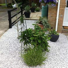 Grey Limestone Detail