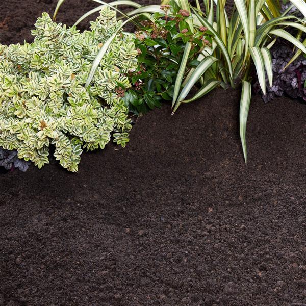 Blended Loam Top Soil Detail